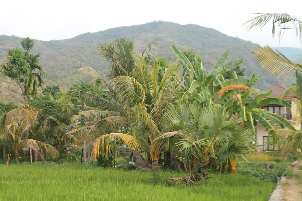Taman Padi Villa Amed Exterior foto